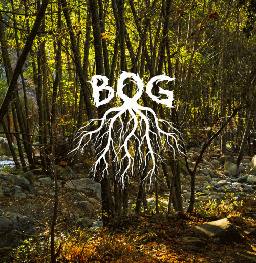Bog (UK) : Bog I